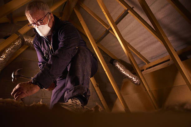 Professional Insulation Contractor in Desert Hills, AZ
