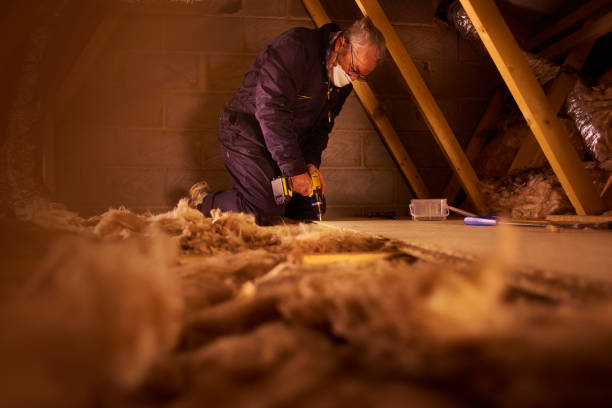 Best Insulation Maintenance and Repair in Desert Hills, AZ